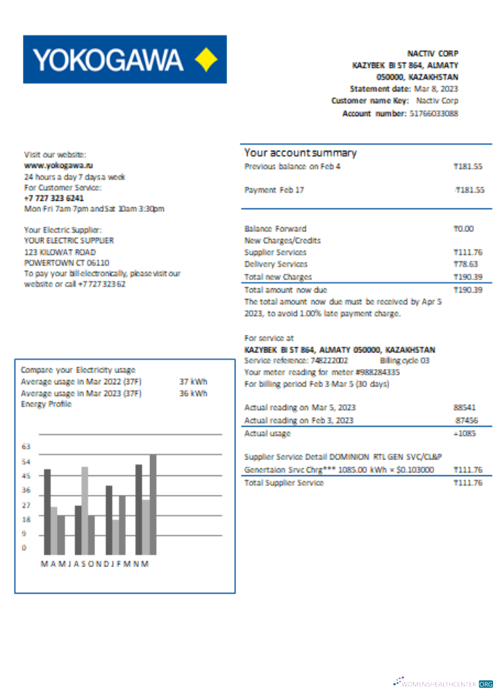 Download Yokogawa Electric Kazakhstan Ltd. utility business bill, SCR Photoshop template